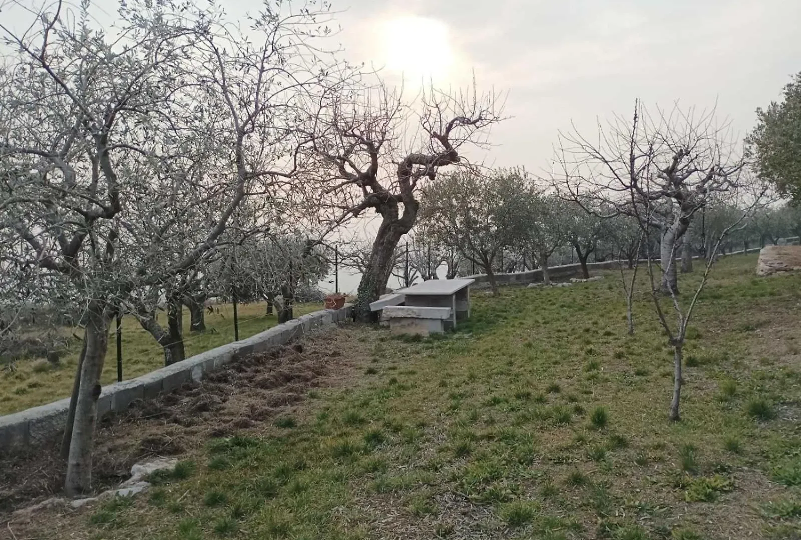 شقة Dimora Laura - Romantico Con Stufa A Legno SantʼAmbrogio di Valpolicella إيطاليا